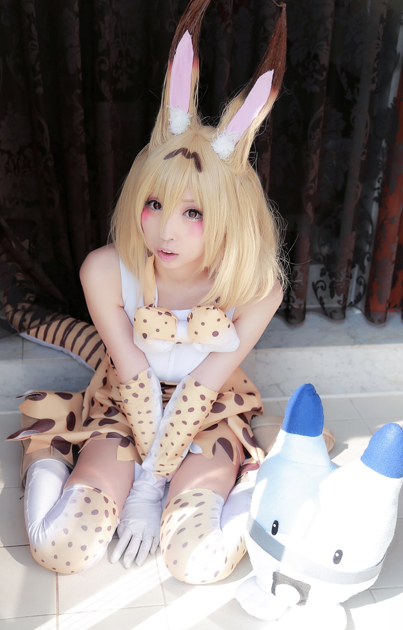 Japanese cosplayer shows a very cold and lovely cat girl(6)