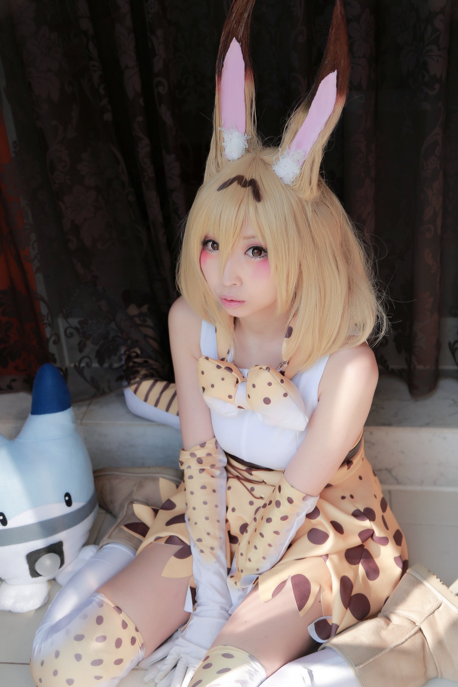 Japanese cosplayer shows a very cold and lovely cat girl(4)