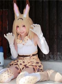Japanese cosplayer shows a very cold and lovely cat girl(18)