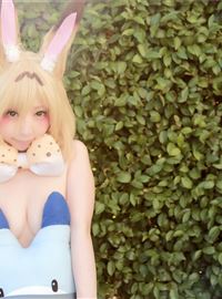 Japanese cosplayer shows a very cold and lovely cat girl(51)