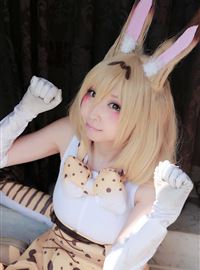 Japanese cosplayer shows a very cold and lovely cat girl(12)