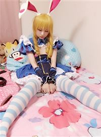 Alice sleepwalking in Wonderland(24)