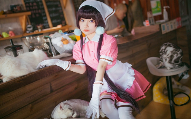 Cute cat sexy stockings waitress(3)