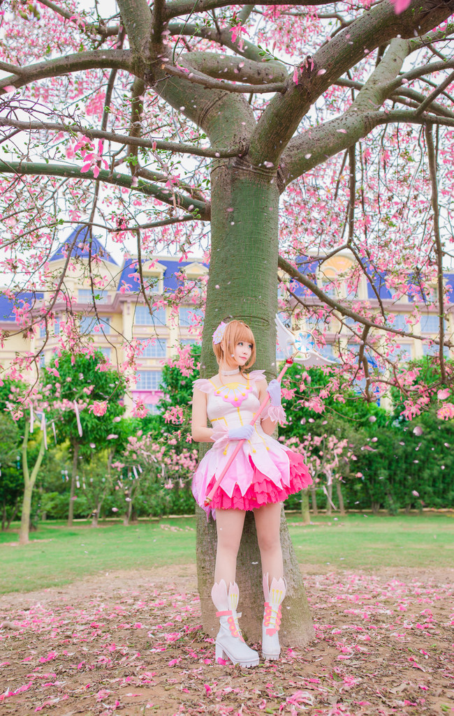 Kinomoto Cherry Blossom animation reality show beautiful pink(8)