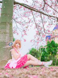 Kinomoto Cherry Blossom animation reality show beautiful pink(13)