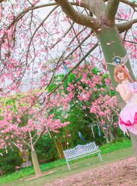 Kinomoto Cherry Blossom animation reality show beautiful pink(19)