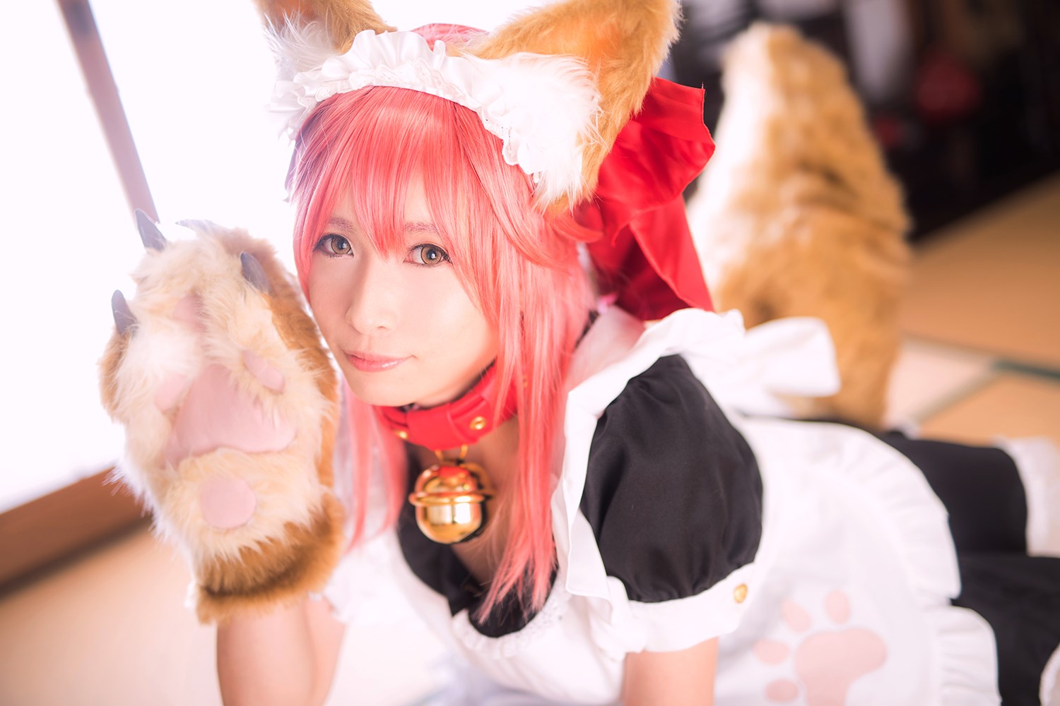 Cute cat play cosplay(8)