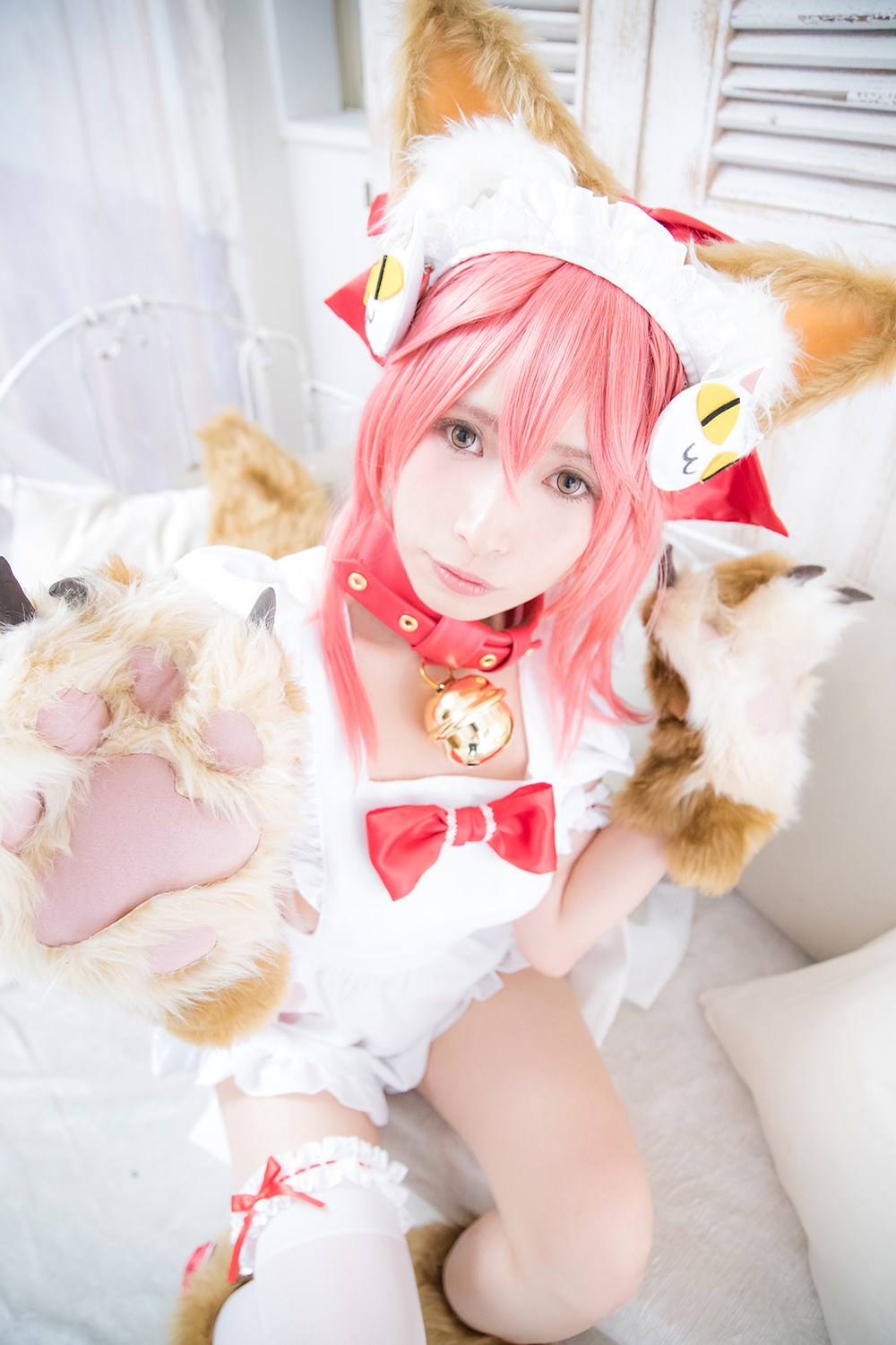 Cute cat play cosplay(118)