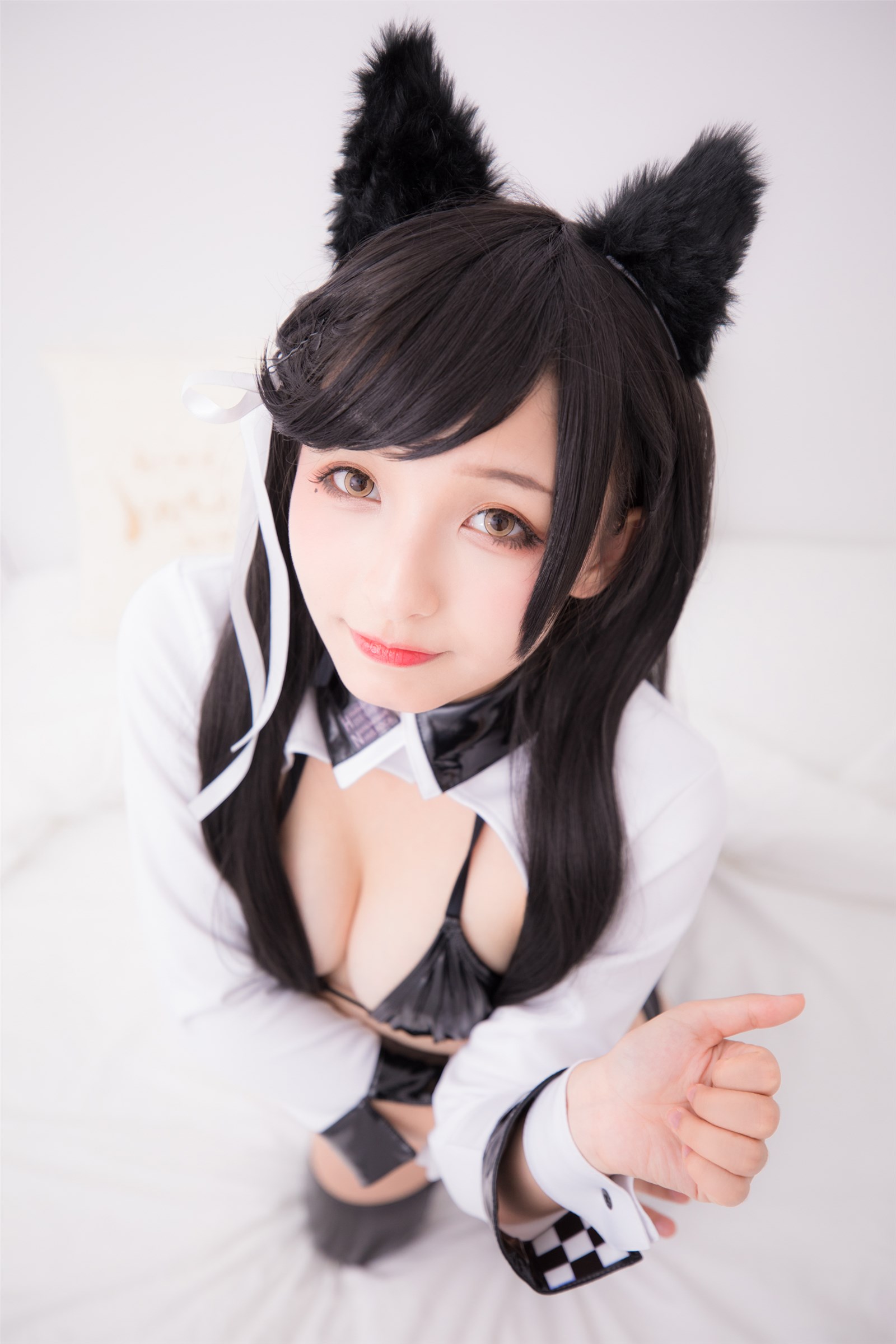 Atago-latex ver(84)