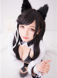 Atago-latex ver(84)