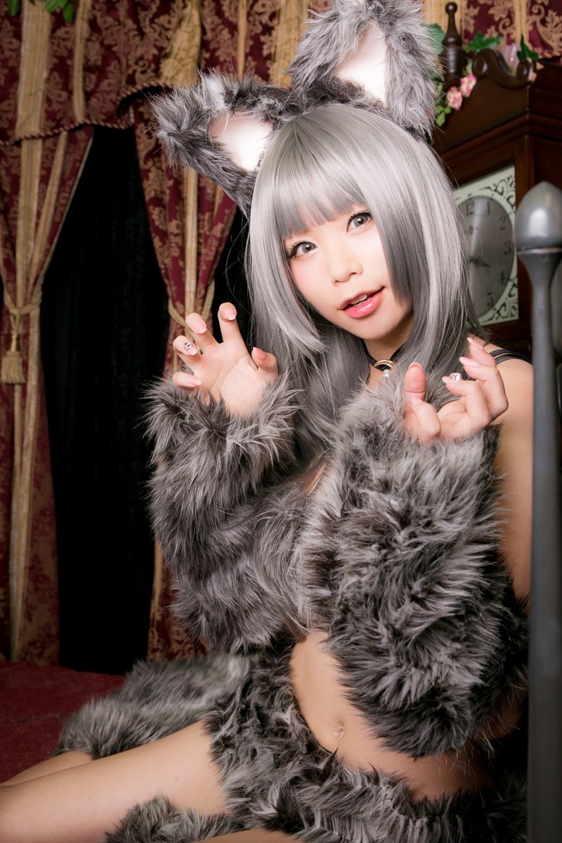 Cosplay rabbit playing with the big gray wolf(23)