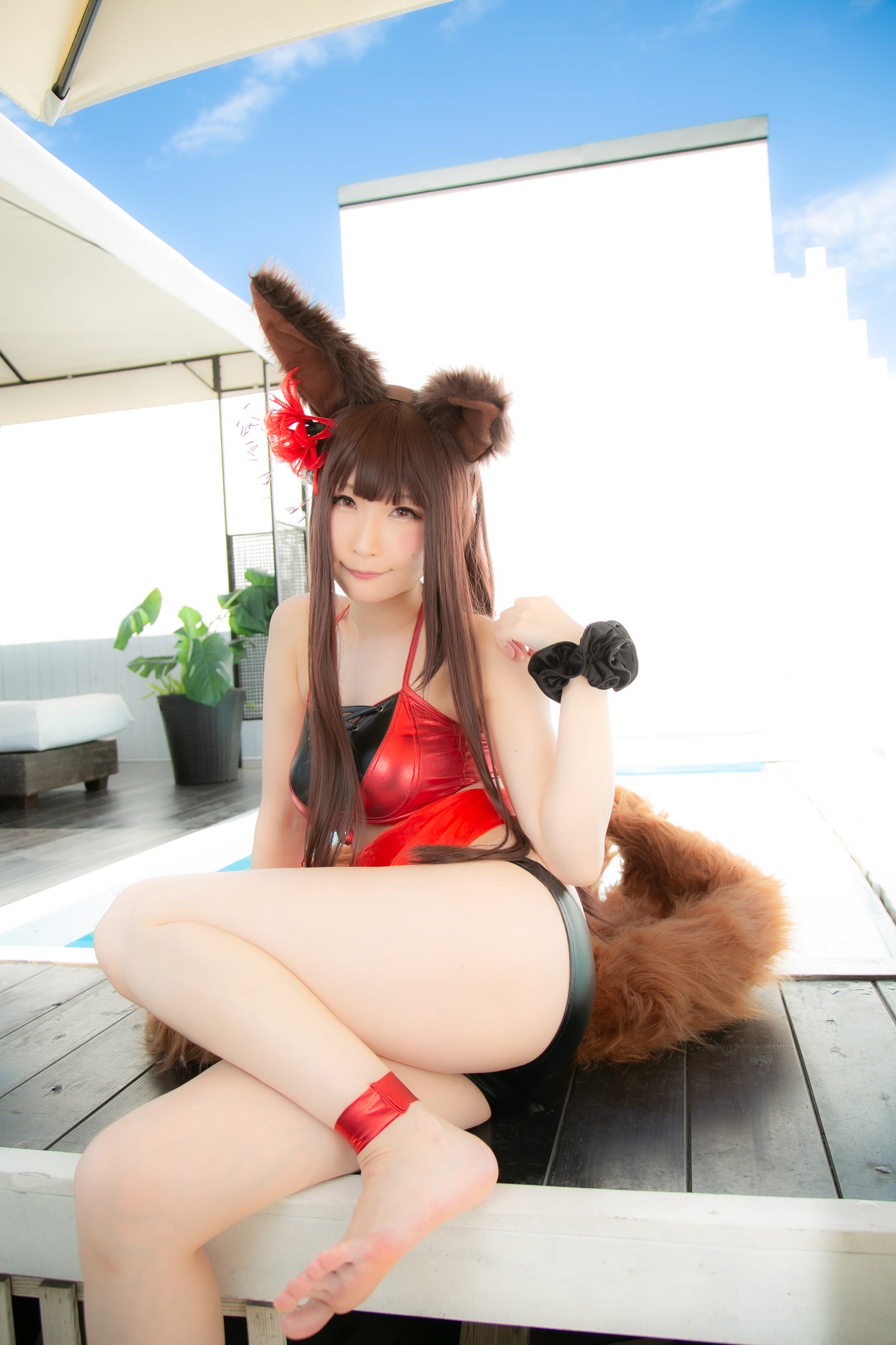 Cosplay mysuite c97 azeren Kaga  Akagi sweet lane 73(119)