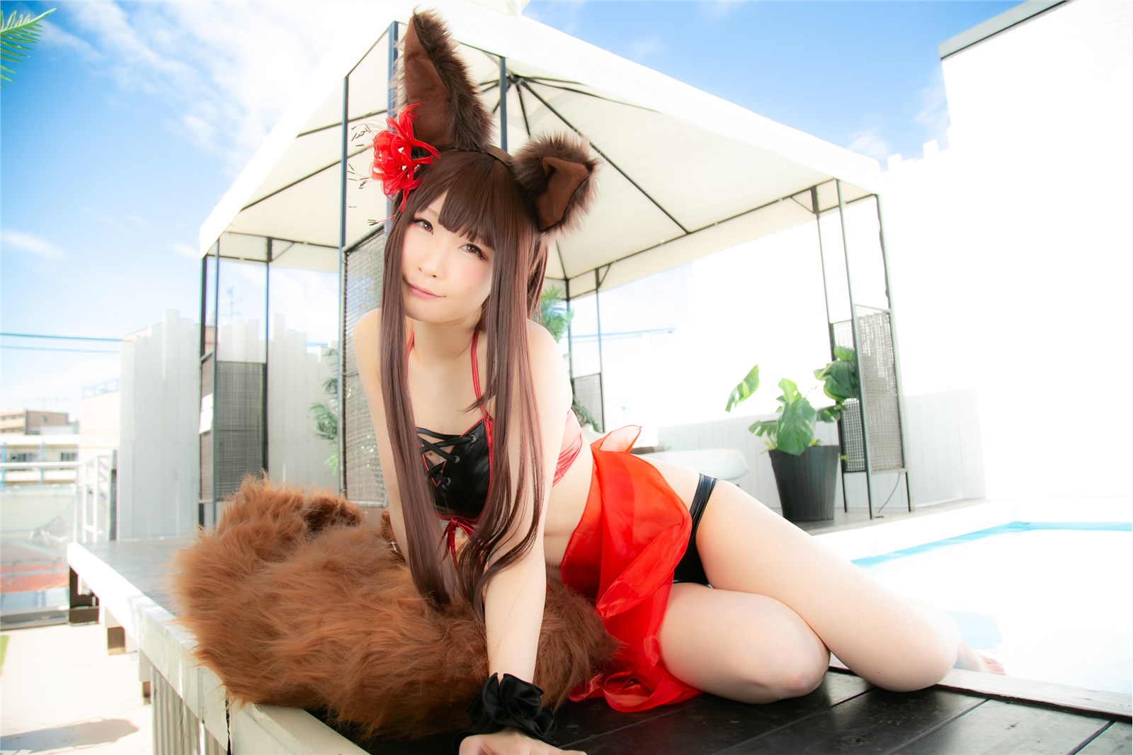 Cosplay mysuite c97 azeren Kaga  Akagi sweet lane 73(89)