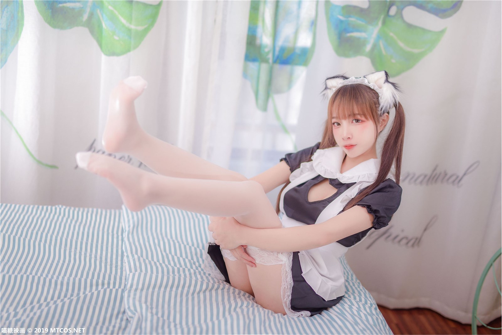 Meow sugar image vol.049(24)