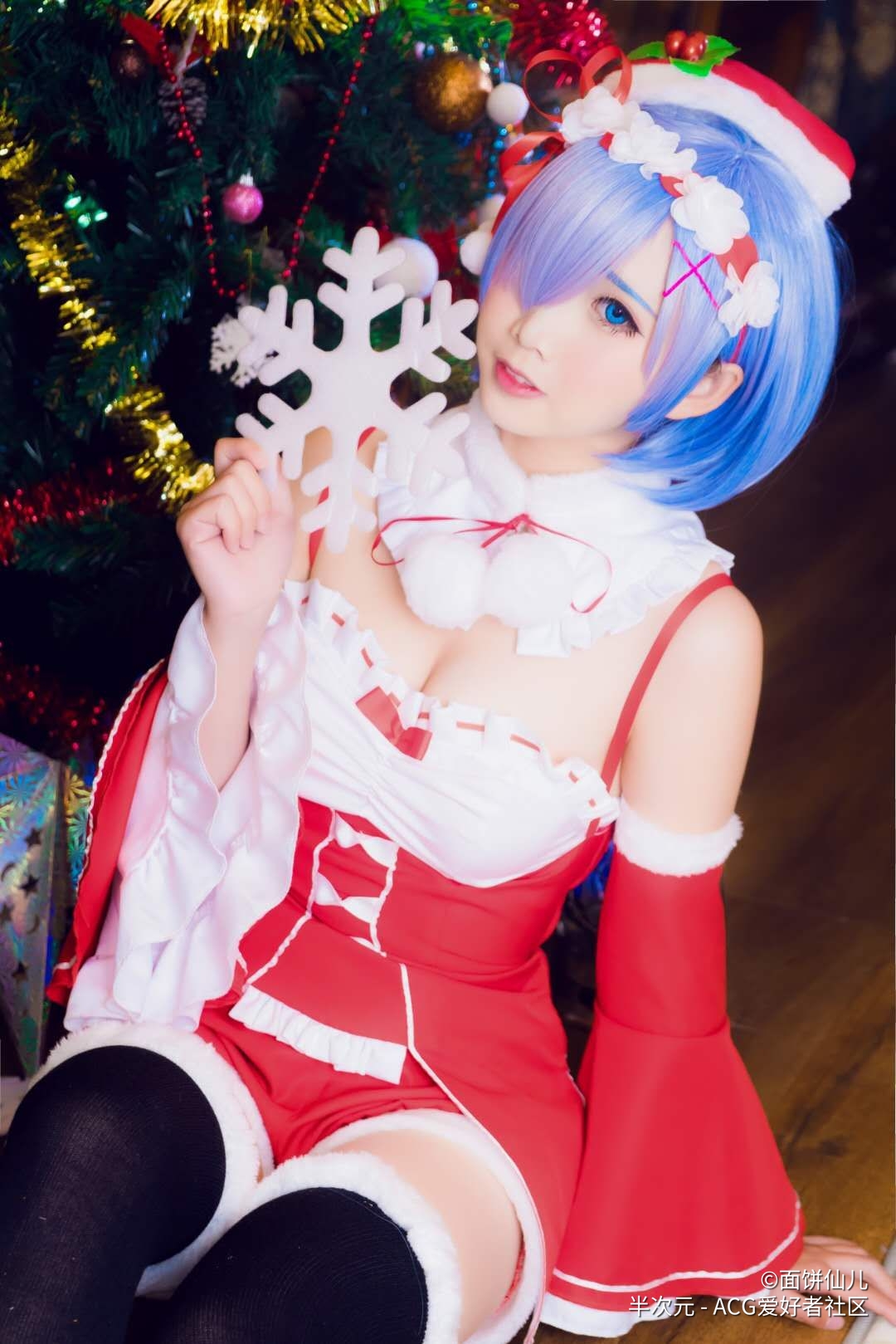 Rem_ christmas(42)