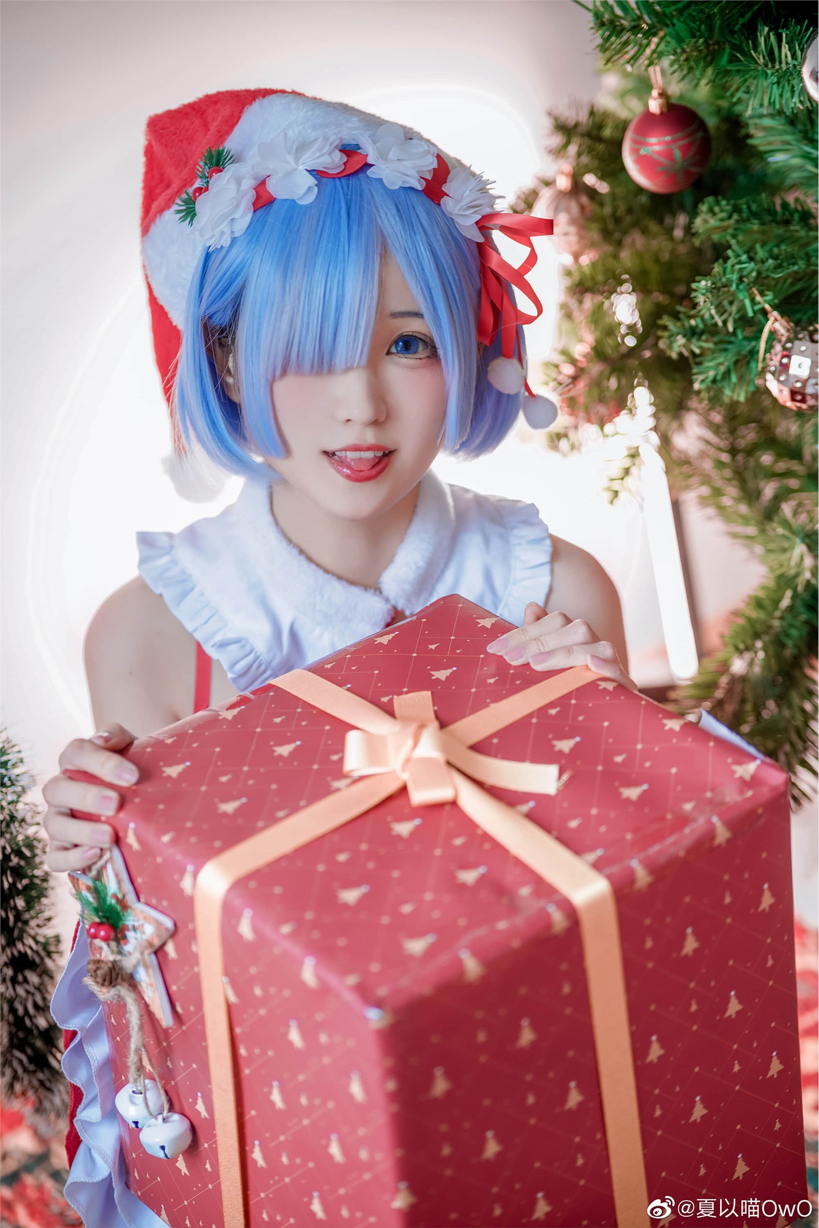 Rem_ christmas(54)