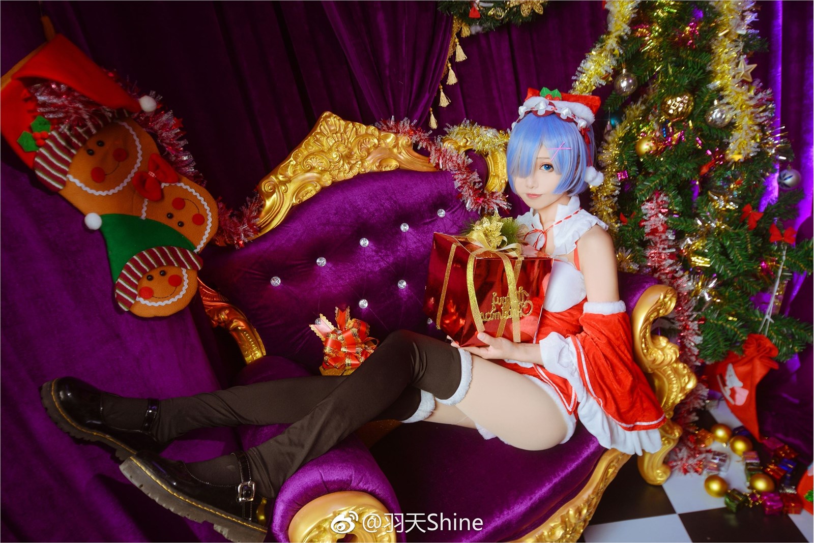 Rem_ christmas(91)