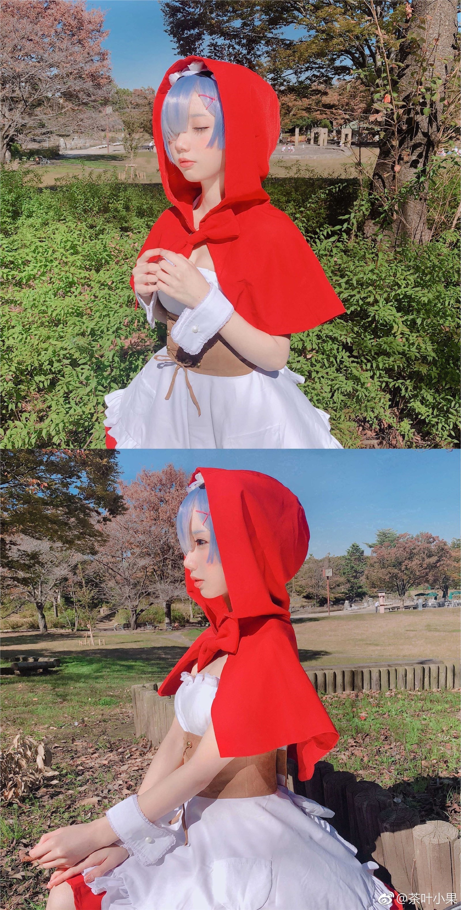 Rem_ Little Red Riding Hood(44)