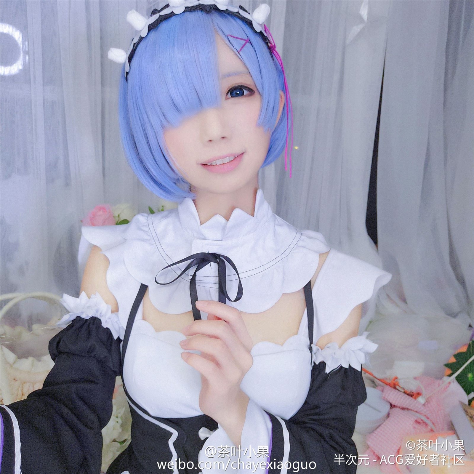 The most complete collection of remcos_ Maid 6(3)