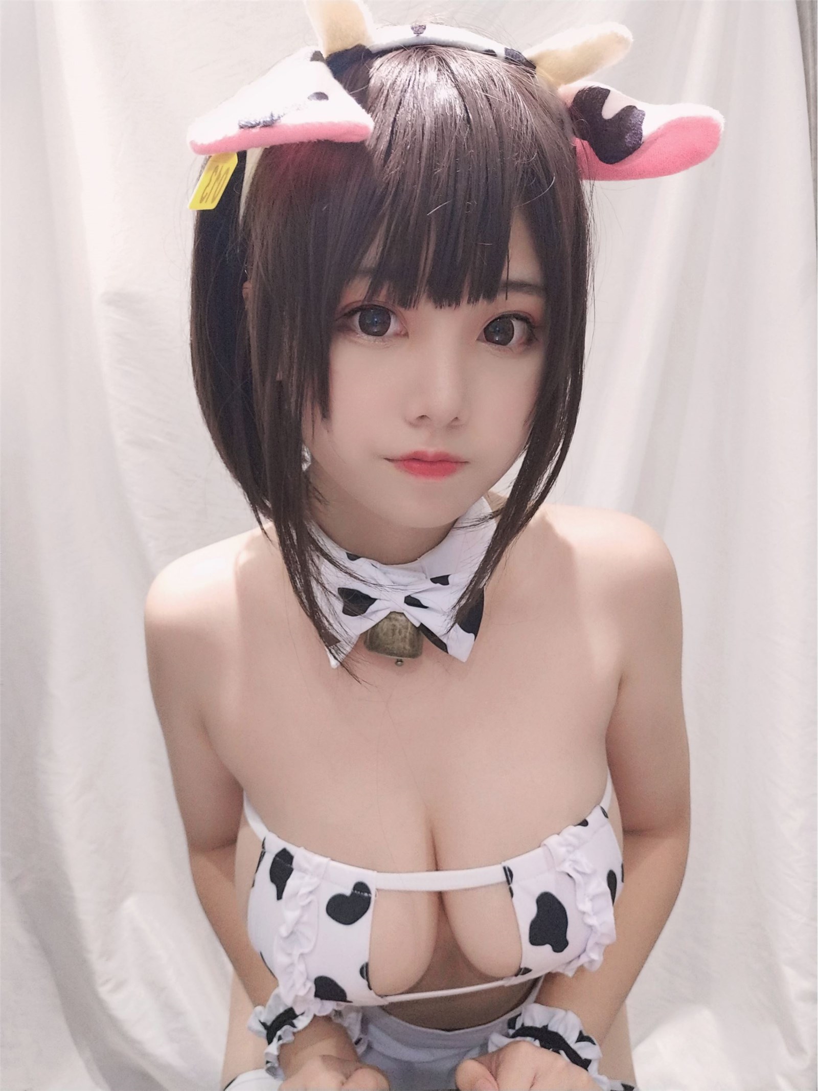 Honey cat Jo vol.025 little cow self portrait version maid(4)