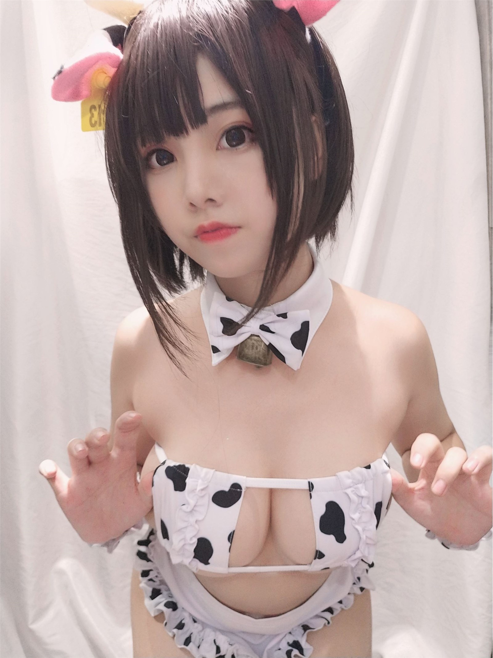 Honey cat Jo vol.025 little cow self portrait version maid(8)